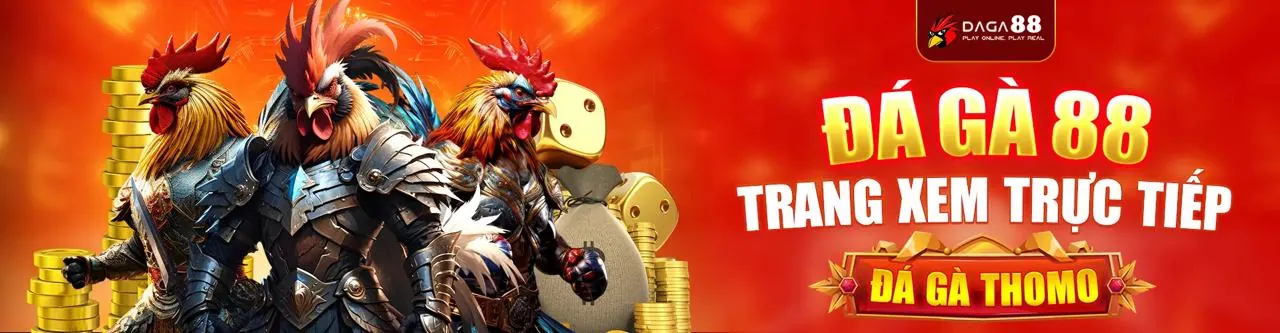 Gà chiến đang thi đấu trong trường gà, minh họa mẹo đặt cược đá gà hiệu quả tại 188BET.